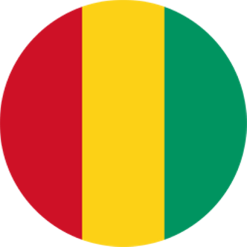 Guinea Handball Logo